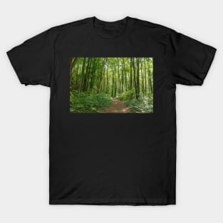 Deciduous forest in the summer T-Shirt